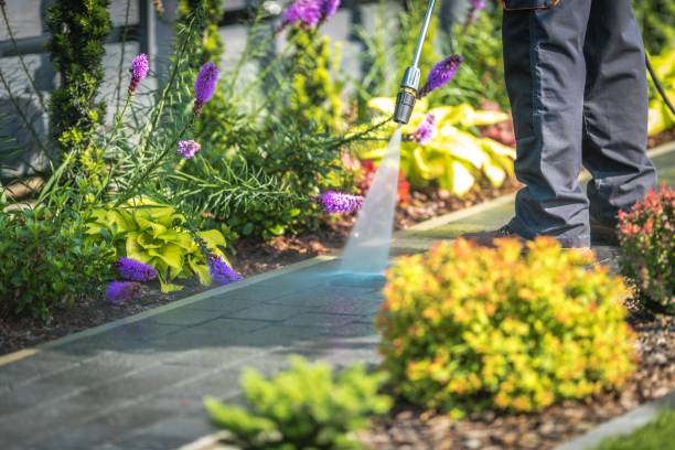  Roodhouse, IL Pressure Washing Pros