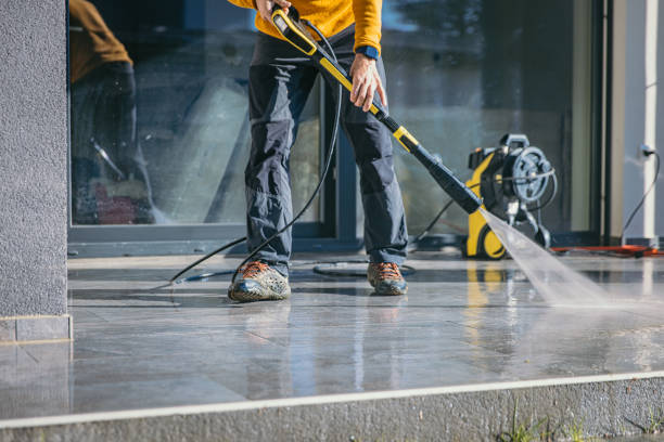 Best Soft Washing for Delicate Surfaces in Roodhouse, IL