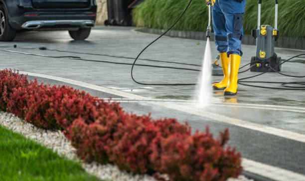 Best Building Exterior Pressure Washing in Roodhouse, IL