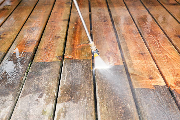 Best Roof Cleaning and Mildew Removal in Roodhouse, IL