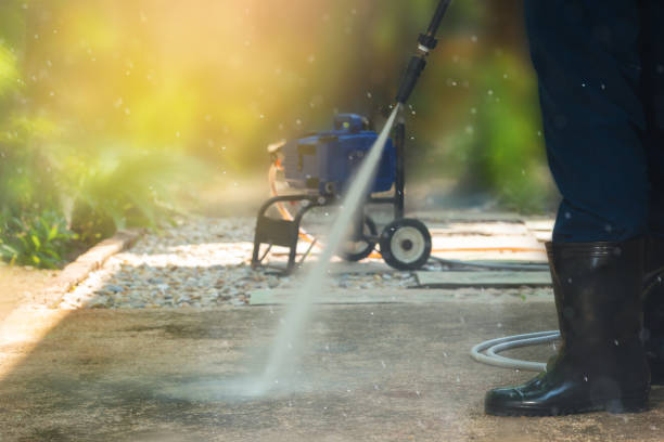Best Window and Screen Pressure Cleaning in Roodhouse, IL